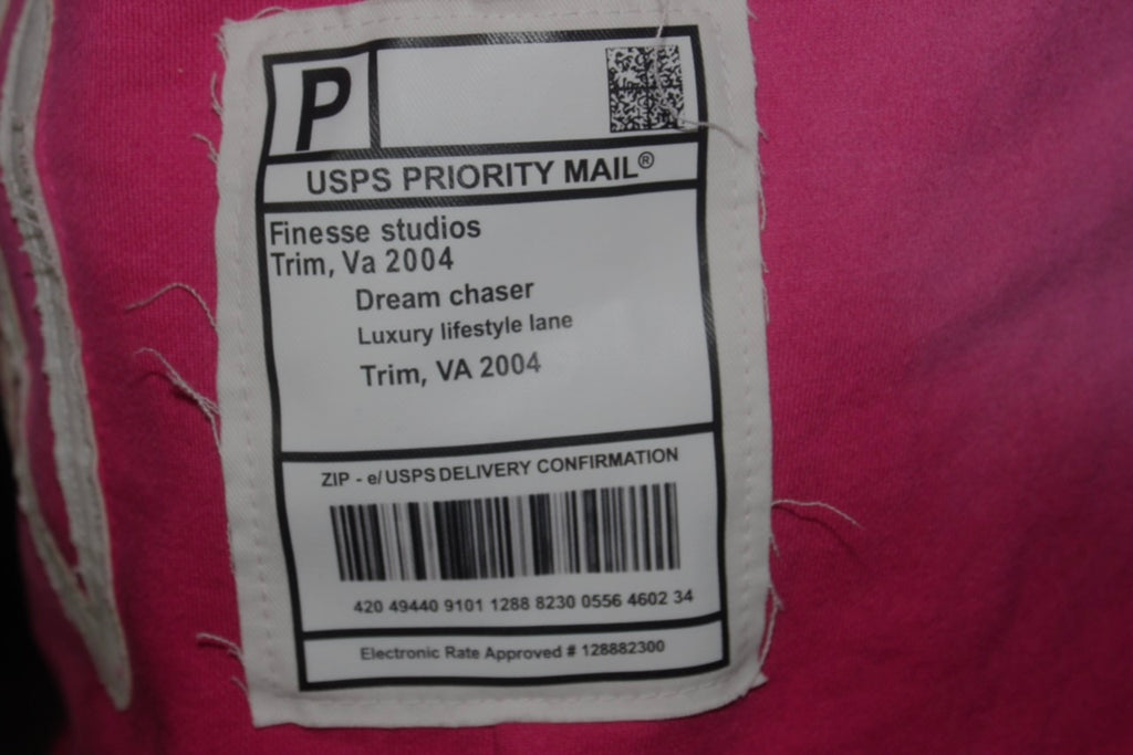 “No Risk No Story” pink Hoodie