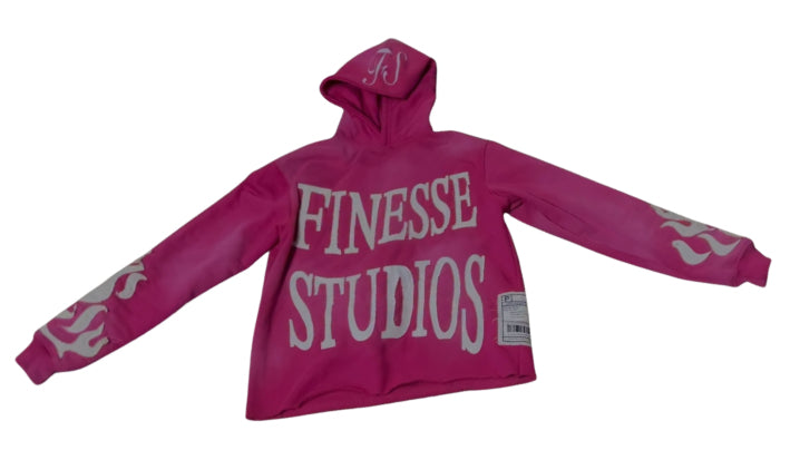 “No Risk No Story” pink Hoodie